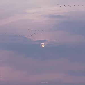 我要看他俩操逼
